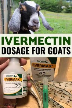 Ivermectin Dosage for Goats (+ How to Give)