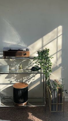 a plant is sitting on a shelf next to a record player and other items in a room