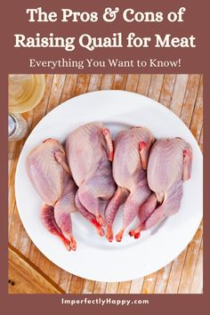 the pros and cons of raising quail for meat everything you want to know