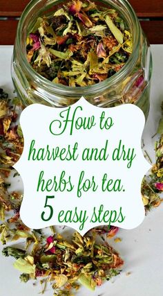 a jar filled with dry herbs and the words how to harvest and dry herbs for tea 5 easy steps