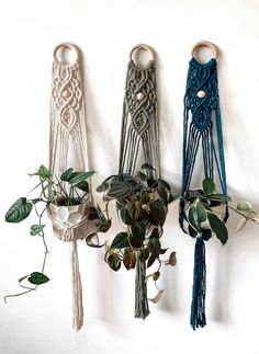 three macrame wall hangings with plants in them