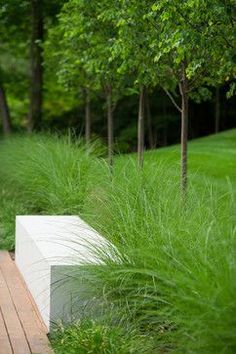 a white bench sitting on top of a wooden floor next to tall grass and trees