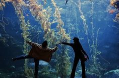 two people standing in front of an aquarium