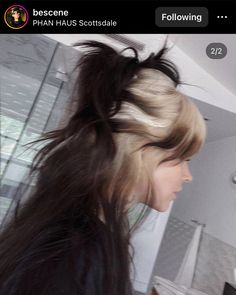 1/4 Hair Dye, Feathered Hair With Curtain Bangs, Black Hair With Blonde Underneath Bangs, Dyed Hair Blonde And Brown, Weird Hair Dye Ideas, Blonde And Brown Alt Hair, Asymmetrical Dyed Hair, Ghost Highlights Hair, Alt Hair Colors Ideas