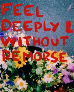 there is a flower pot with flowers in it and the words, feel deeply & without remorse