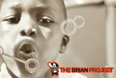 The Brian Project Books