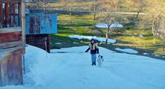 a woman walking her dog in the snow near a barn and farm area with trees