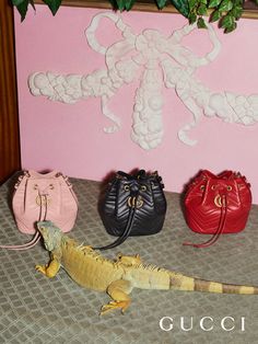 Up close with the GG Marmont buckets bags from Gucci Pre-Fall 2017 designed by Alessandro Michele. Gucci Ads, Editorial Pictures, Shoes Campaign, Gucci 2015, Gucci Ad, Cult Leader, Guccio Gucci, Gucci Marmont