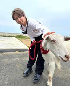 a woman is petting a goat on the side of the road with a red leash