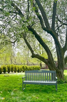 a bench sitting in the grass under a tree