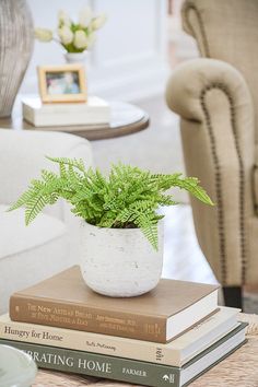 two books stacked on top of each other in front of a table with a potted plant