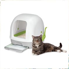 Purina Tidy Cats Hooded Litter Box System, BREEZE Hooded System Starter Kit Litter Box, Litter Pellets & Pads Tidy Cats, Cat Pad, Pet Cleaning, Old Boxes