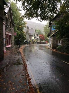 a wet street with houses on both sides and trees in the middle, surrounded by foliage