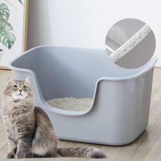 Smart Paws Cat Litter Box with High Sides,Large Litter Box (Grey) (As an Amazon Associate I earn from qualifying purchases) Pet Care Tips, Paws Cat, Cat Reading, High Walls, Cat Pet Supplies, Large Cats, Fish Design