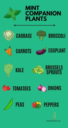 a green poster with different types of vegetables