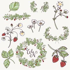 various flowers and leaves with the word eef on them, including strawberries and daisies