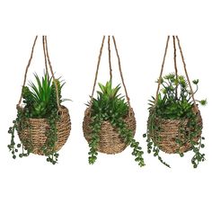 three hanging baskets with plants in them