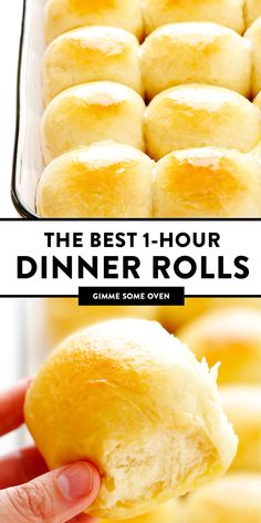 the best 1 hour dinner rolls