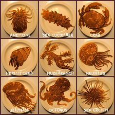 Coolest pancakes ever Food Art, Pancakes, Sea Pancake, Pancake Designs, Pancake Art, Cute Food, Kids Meals, Great Recipes