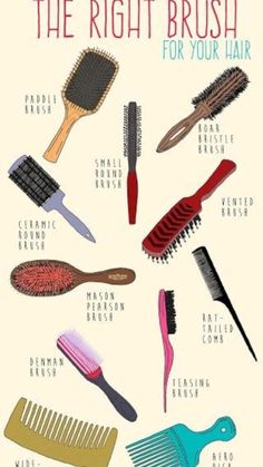 Denman Brush, Boar Brush, Updo Curly, Teasing Brush, Best Hair Brush, Hair Remedies For Growth, Best Brushes, Baking Soda Shampoo, Hair Control