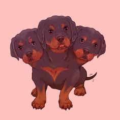 three brown dogs sitting next to each other on a pink background