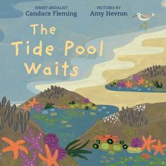 the tide pool waits by candice fleming and ann hevenon cover art for children's book