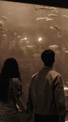 a man and woman looking at fish in an aquarium