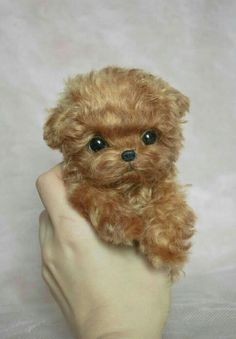 a small brown teddy bear sitting on top of a persons hand in front of a white background