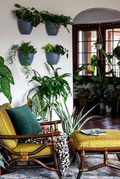 a living room filled with lots of green plants