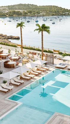 an outdoor swimming pool with lounge chairs and umbrellas next to the water in front of palm trees