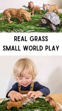 a little boy that is playing with some fake animals in the grass and text reads real grass small world play