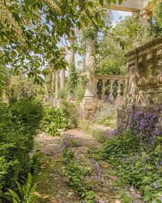 an overgrown garden with purple flowers and green plants in the foreground, surrounded by stone pillars