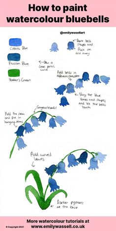 how to paint watercolour bluebells