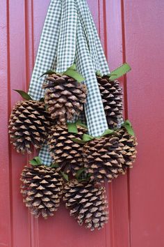 two pine cones are hanging on the front door