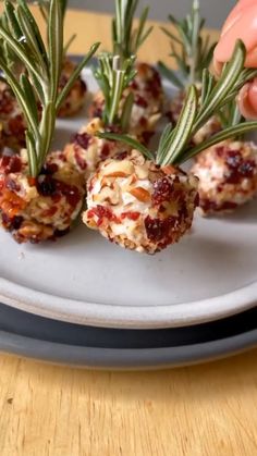 small appetizers with rosemary sprigs are on a plate