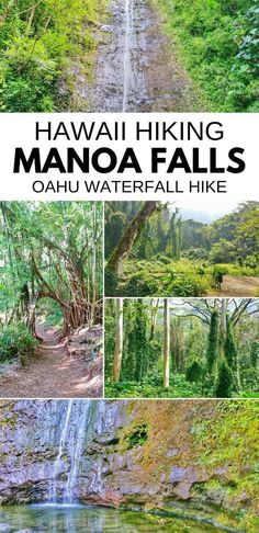 hawaii hiking manaoa falls, oahu waterfall hikes and other things to see