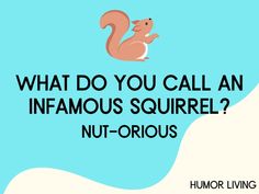 a squirrel with the words what do you call an infamous squirrel nut - orious?