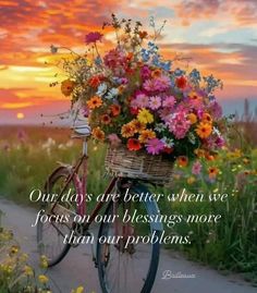 a bicycle with a basket full of flowers on the back is shown in front of a sunset