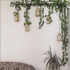 a living room with plants hanging on the wall