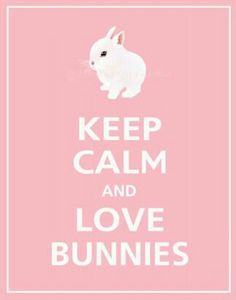 a pink poster with the words keep calm and love bunnies