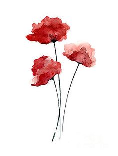 three red flowers on a white background with watercolor effect painting by julia d'ambroise