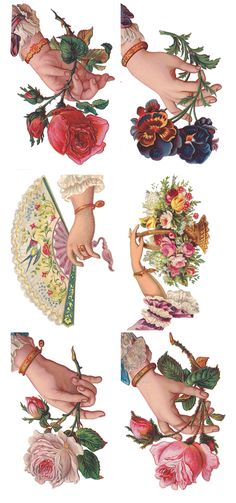 several different images of hands holding flowers and other things in their hands, including roses