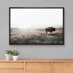 a cow is standing in the middle of a field framed on a wall above a dresser