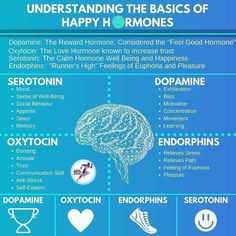 the human brain and its functions are depicted in this infographtion for children's learning