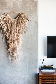 a tv mounted on the side of a wall next to a plant hanging from a rope