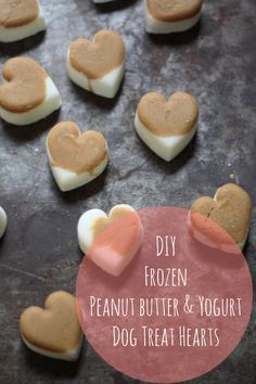heart shaped cookies on a baking sheet with the words diy frozen peanut butter and yogurt dog treat hearts