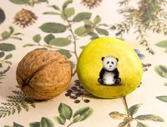 there is a small panda bear sitting on a rock next to a nut shell that has been placed on it