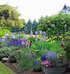 a garden filled with lots of different types of flowers