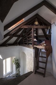 a loft with a ladder to the roof