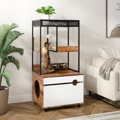 a cat sitting on top of a wooden box next to a white couch and potted plant